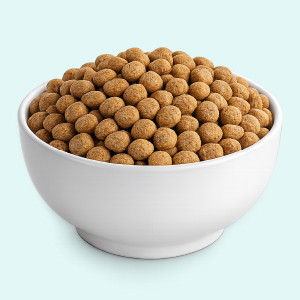 Dry Dog Food