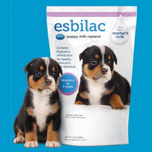 Puppy Milk Replacer