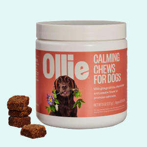 Dog Supplements